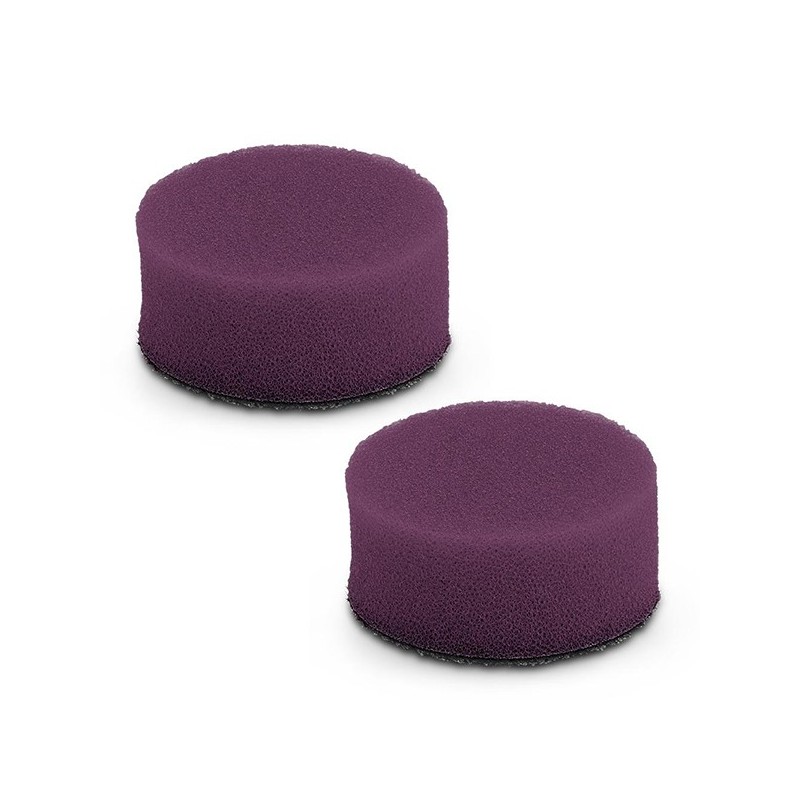 Φωτογραφία προϊόντος Σφουγγαρι Γυαλισματος Ps-V-40 2 Τμχ